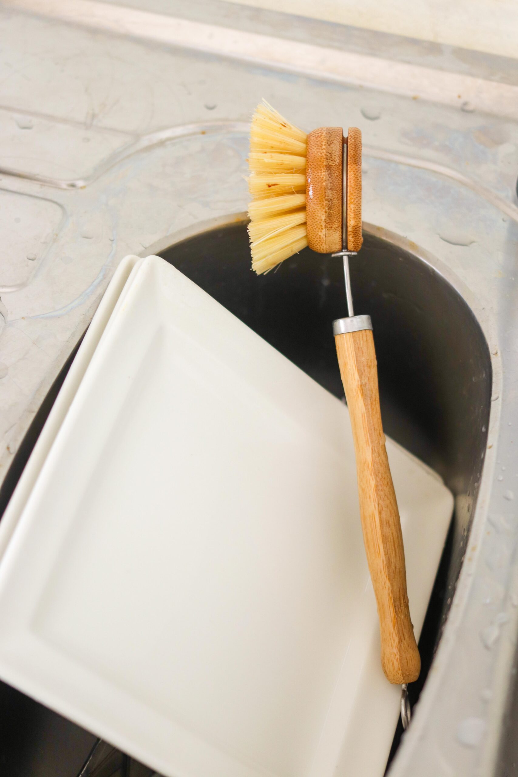 ECANDI-GreenThingsKenya-11